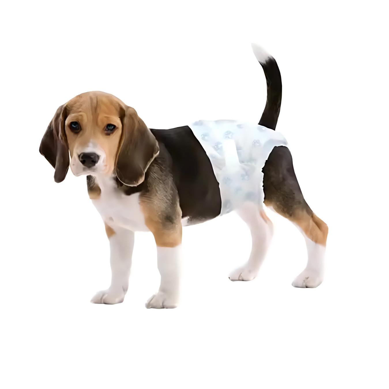 Disposable Pet Diaper Soft Female Male Dog Pet Diaper Disposable NAPPY